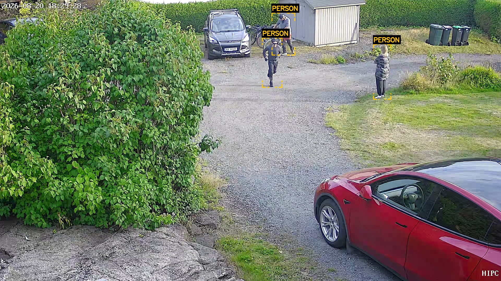 Human